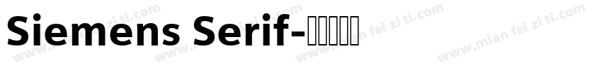 Siemens Serif字体转换